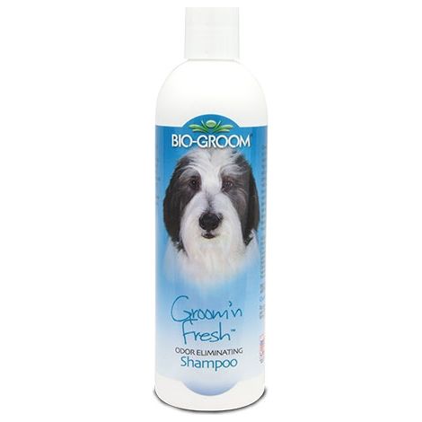 Groom'n Shampoo fresco, per cani, pulizia intensa, ideale per campioni molto sporchi.