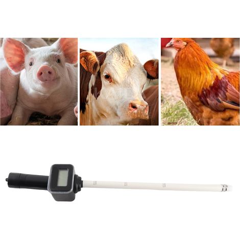 Détecteur d'Ovulation Porcine - Matériel Polyéthène Résistant et Imperméable - 673g pour Surveillance Précise du Cycle Éstrus (1/4)