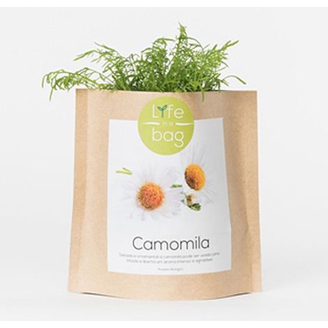Sac papier Prêt à cultiver Camomille (1/3)