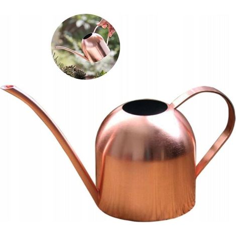 Annaffiatoio in acciaio inox per fiori, annaffiatoio da giardino, bottiglia d'acqua per piante da giardino, casa, 500 ml (A) (1/5)