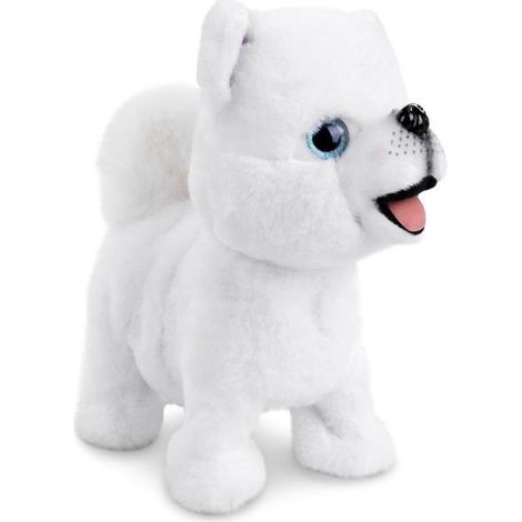 Ein Hund an der Leine