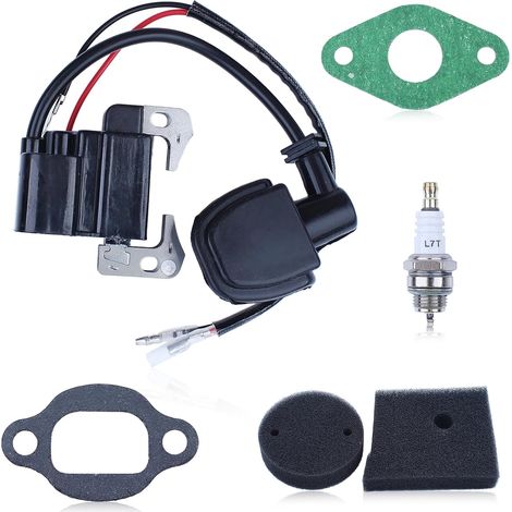 Ensemble bobine d'allumage, filtre à air et bougie pour moteur Robin NB411 EC04 BG411 (1/5)