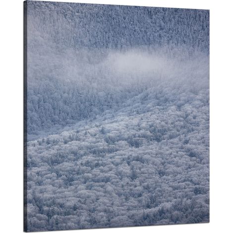 Leinwanddruck Natur Wald im Schnee 80x100 cm