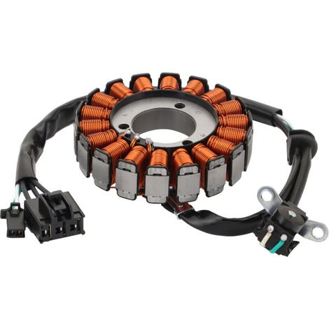 Magneto-Statorspule kompatibel mit Kawasaki Ninja 300/Z300/Z250/Ninja 250/Ninja 250R Universelles Ersatzteil für die Lichtmaschinen-Ladespule von Motorrad-Ninja-Modellen. (1/4)