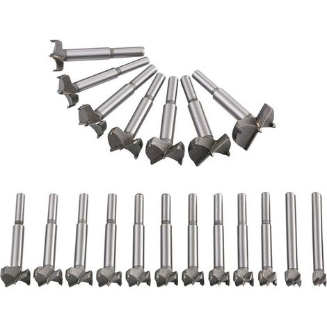 Mèches Bois 19PCS (10MM - 40MM) Fraise Carbure, L'installation de Portes Sphériques, Tiroirs, Mèches à Façonner Foret pour Faire Des Trous Propres à Fond Plat Dans Le Bois