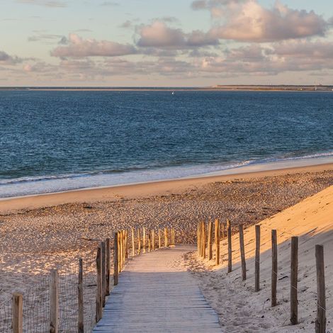 Tableau sur toile chemin d'Arcachon 30x30 cm - Impression sur Toile Murale Décorative - Image imprimée en HD sur Toile - Toile sur Châssis en Bois FSC - Fabriqué en France