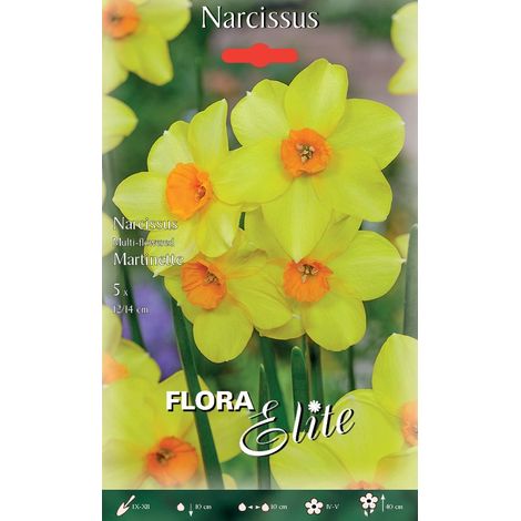 NARCISO MULTI-FLOWERED MARTINETTE (CONFEZIONE DA 5 BULBI)