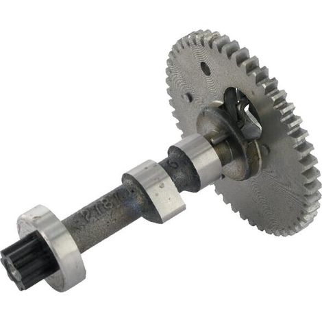 Puleggia albero a camme HONDA 14320Z0H010