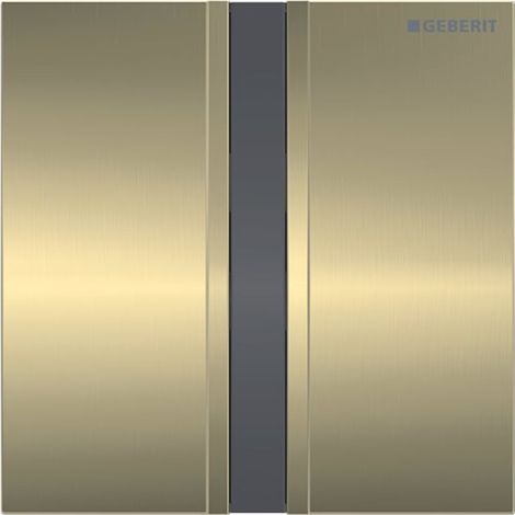 Geberit 241926QF1 Plaque de recouvrement type 50 pour UR-Strg. IR (1/4)