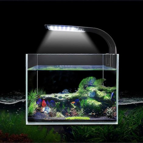 Lampe LED X5 Virgo 24 LED 10W à pince pour aquarium de 25 à 38 cm (10 à 15 pouces), idéale pour l'éclairage des plantes aquatiques. (1/5)