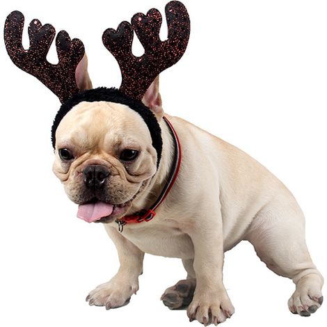 Weihnachtskostüm für kleine Hunde, Weihnachtskostüm mit Rentiergeweih