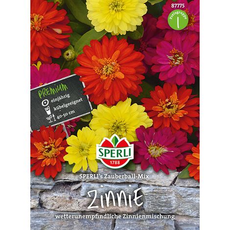 Sperli Zinnien Zauberball Mix - Blumensamen (1/2)