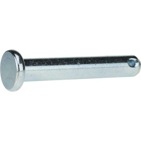 Reidl ISO 2341 Bolzen mit Kopf, 10x50 Stahl galvanisch verzinkt farblos, Form B