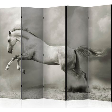 Paravent 5 Volets "Wild Stallion" 172x225cm (1/2)