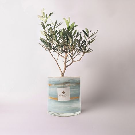 Olivo in vaso di vetro decorato a mano Made in Italy Marble H 15 - Navy