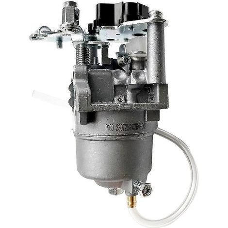 Carburateur de moto pour HUAYI EIP2700 P16D P16D-2 148 148F 16211 230725G10264-01 (1/5)