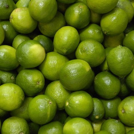PIANTA DI LIMONE VERDELLO in fitocella - età 2/3 anni (foto reali)