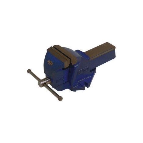 IRWIN 5 vis de banc vis de main 12,5 cm