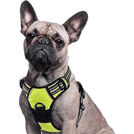 Harnais anti-traction rembourré et réglable pour chiens de grande taille, idéal pour le dressage ou les promenades (Vert 81-107 cm) (1/5)