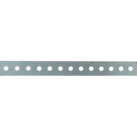 PIASTRINA DIRITTA FORATA  mm.100X20 100.00 pz