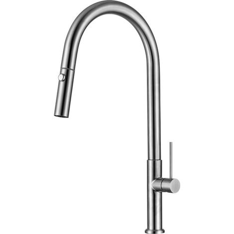 Mitigeur monocommande avec douchette extractible et bras pivotant, 2 jets, Aspect acier inox