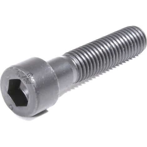 Vis de lame pour Sabo N° SA29693, SA31478, SAA29693, SAA31478, 15597, 19M8994, 29693, 31478, 34833, 426-100-000. Pas à droite. (1/3)