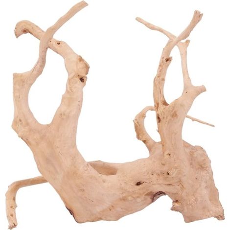 L Moorkienwurzel Nr.4233 Fingerwurzel Echtholz Deko Aquascaping
