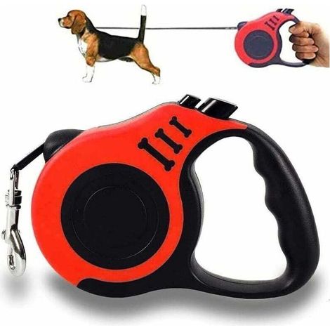 Laisse rétractable pour chien jusqu'à 5m – ABS et fibre de polyester – Conception ergonomique – Pour chiens de petite et moyenne taille (1/4)