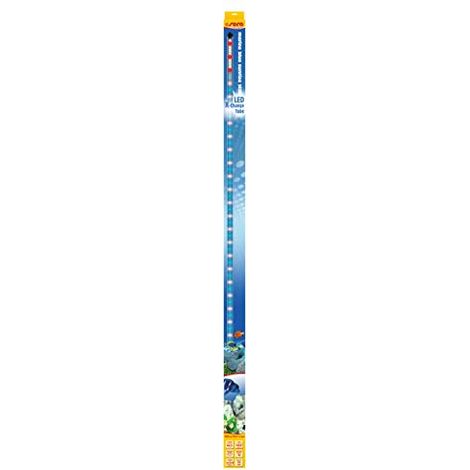 Sera - luce a LED, blu marino, sunrise, stile barriera corallina, 360 blu (1/3)