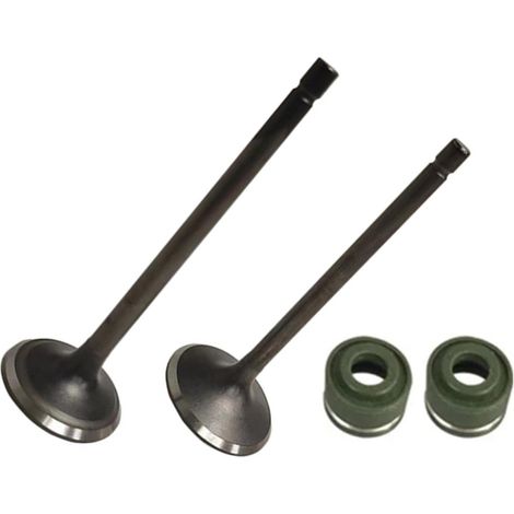 Joint d'huile de rechange pour soupapes d'échappement de moteur de moto CG250 250CC (1/4)