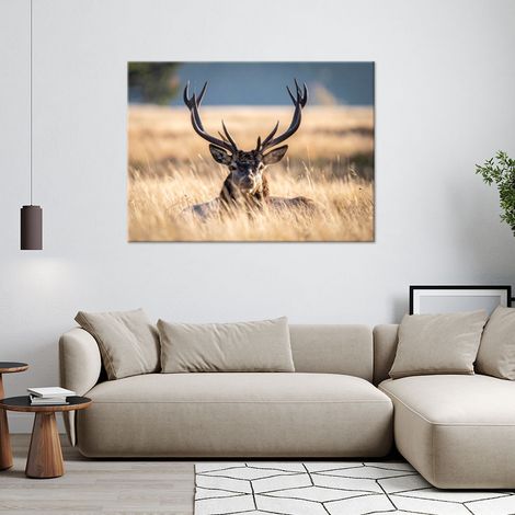 Wandbild Hirsch in einer Wiesenlandschaft Natur in Beige 60x40 (1/4)