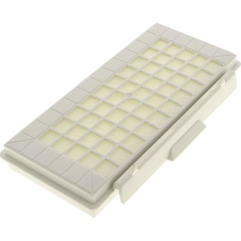 Filtro Hepa 17004549 per aspirapolvere bosch