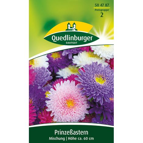 Quedlinburger Saatgut – Reine-marguerite Princesse, mélange – Graines de fleurs, fleurs doubles bombées Ø 12 cm, hauteur env. 70 cm (1/2)