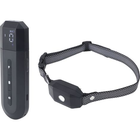 Collier de dressage pour chien avec récepteur étanche et rechargeable, dispositif anti-bruit noir (1/5)