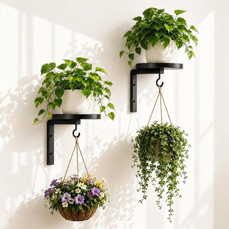 Lot de 2 Supports Muraux pour Plantes, Porte Plante en Métal avec Plateau Rond et Crochet, Support Mural pour Pot de Fleur, Étagère Plante Murale Intérieur Extérieur pour Balcon Salon Salle de Bain Te (1/5)