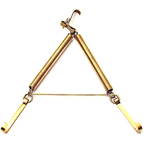 APPENDIPIATTI A MOLLA OTTONATO N. 2 16X25 CM- DIESSE- 10,0 pz
