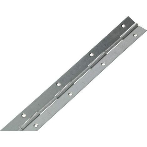 KOTARBAU Charnière à tige pour piano 300/31 mm - Toutes les couleurs peuvent être découpées et coupées - Bande de soudure solide - Charnière pour meubles (10, galvanisé) (1/3)