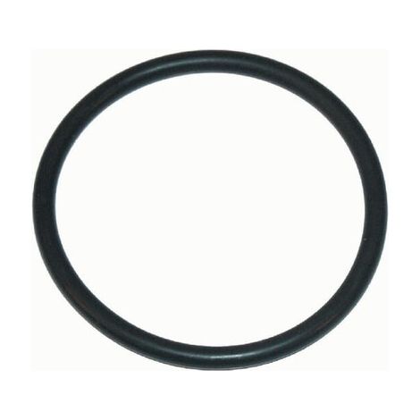 Junta t贸rica 47.22x 3.53mm EPDM ARAG G10062 (1/2)