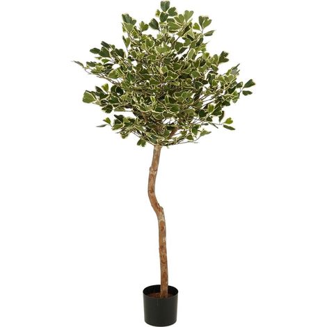 Ficus Artificiel Triangularis Plante Artificielle d'Intérieur Tronc Naturel Vert H150 x Ø90 cm - PANGIVO (1/5)