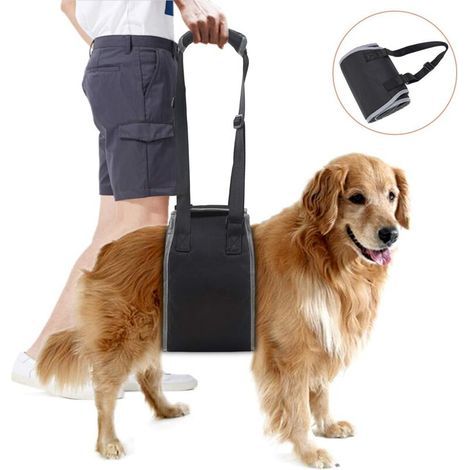 Stützgeschirr für ältere Hunde, Hebegurt für behinderte Hunde, Schwarz, erleichtert das Ein- und Aussteigen (1/5)