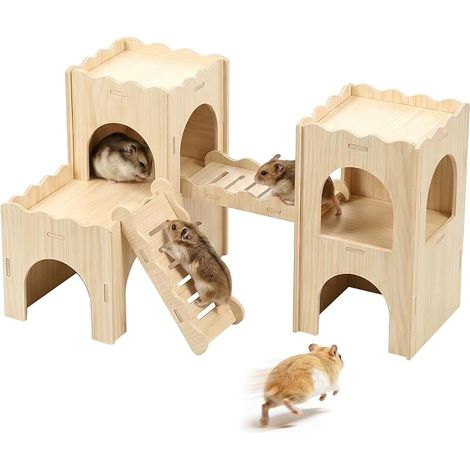 Maison de hamster en bois avec plateforme, abri multi-chambres et échelle d'escalade, habitat pour hamsters, hamsters nains et gerbillons syriens (1/5)