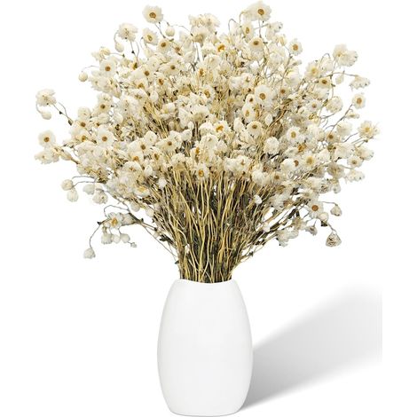 Bouquet de Marguerites séchées Naturelles, 50 pièces, Fleurs Blanches préservées, décoration de Vase de Table de Maison de Campagne (1/5)