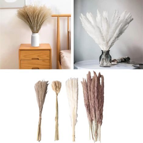 Roseaux séchés, bouquets de roseaux de la pampa, fleurs séchées à faire soi-même, décoration intérieure avec fleurs séchées, petits roseaux queue de lapin (50+), roseaux blancs (15+), roseaux naturels (1/5)