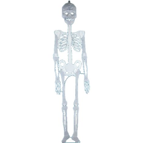 Squelette Lumineux - Phosphorescent Jour-Nuit - Pour Décoration Halloween Maison Hantée Jardin Bar - 90 cm - 1 Pièce (1/5)