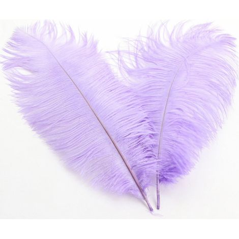 Plumes D Autruche - 32 cm - Décoration Mariage Centre De Table - Arrangement Floral DIY - 1 Pièce - Violet Clair (1/5)