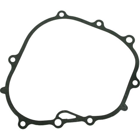 Guarnizione flangia motore rasaerba tagliaerba tosaerba T100 NGP V6-30-001-000
