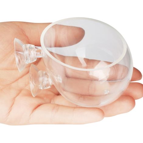 Cup Pour Plantes Aquatiques - Verre Trempé - Hauteur 7 Cm - Diamètre 6,5 Cm - Avec Ventouses - Pour Aquarium - 1 Pièce (1/3)