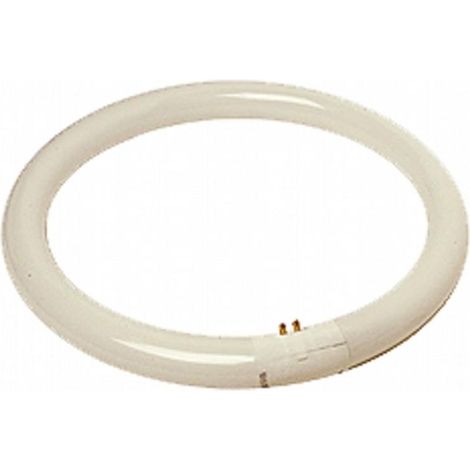 Tubo fluorescente circular T9 40W G10q 6400K