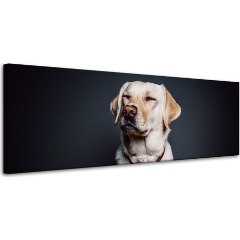 Lienzo impreso con diseño de animales: perro, fondo negro, 120 x 40 cm.