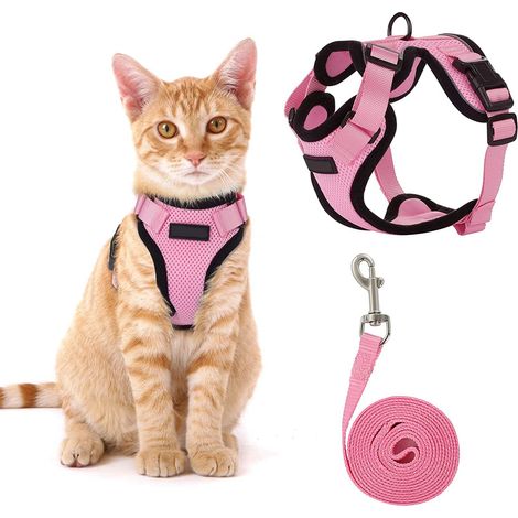 1 laisse pour chat, corde de traction en polyester noir, dimensions 18,7 x 11,4 x 4,6 cm, pour promenades extérieures sécurisées (1/5)